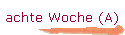 achte Woche (A)