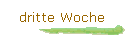 dritte Woche