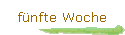 f�nfte Woche