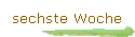 sechste Woche