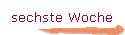 sechste Woche