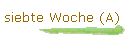 siebte Woche (A)
