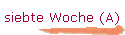 siebte Woche (A)