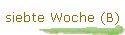 siebte Woche (B)