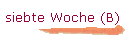 siebte Woche (B)